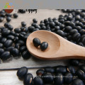 small black kidney bean /black bean price